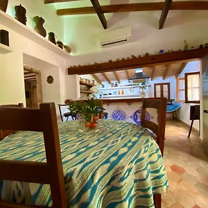 Puerto De Pollensa And Apartments, With Private Mountain Ideal For Runners, Trailers,near Approximately 5 Minutes Walking, Unique Experience In A Ullal Old Typical Mallorca House With Private Mountain And Near To The Beac , Port de Pollença Espagne